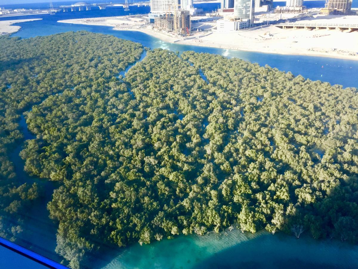 Residential Private Apartment With Fabulous Sea & Mangrove View - Al Reem Island - 1106 Abu Dhabi Buitenkant foto